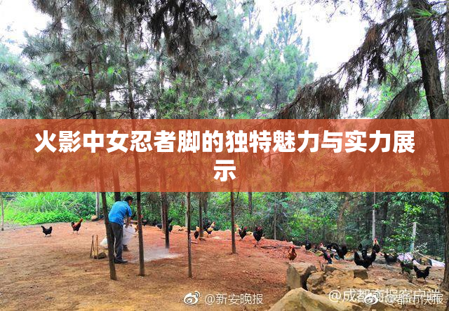 火影中女忍者脚的独特魅力与实力展示