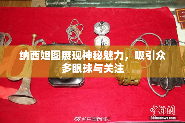 纳西妲图展现神秘魅力，吸引众多眼球与关注