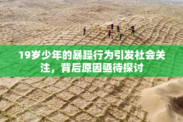 19岁少年的暴躁行为引发社会关注，背后原因亟待探讨