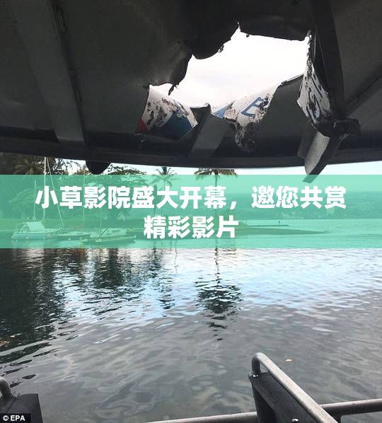 小草影院盛大开幕，邀您共赏精彩影片