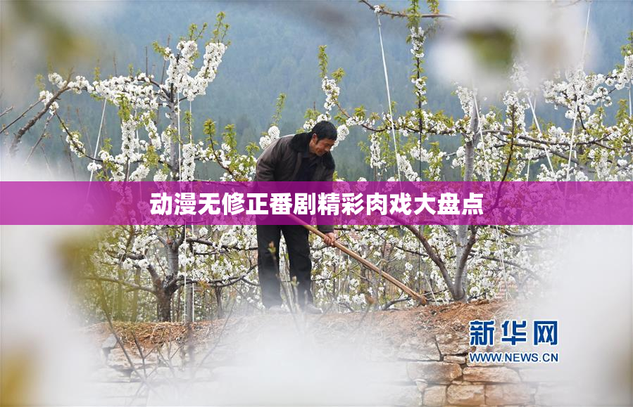 动漫无修正番剧精彩肉戏大盘点