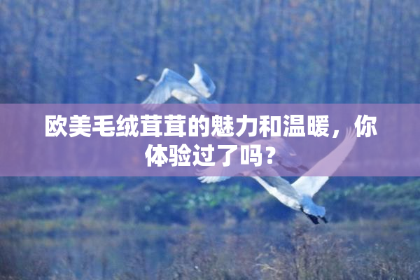 欧美毛绒茸茸的魅力和温暖，你体验过了吗？