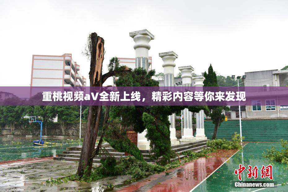 重桃视频aV全新上线，精彩内容等你来发现