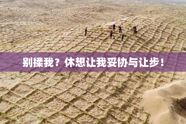 别揉我？休想让我妥协与让步！
