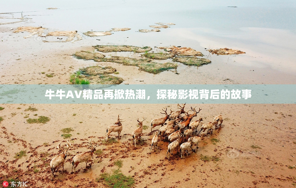 牛牛AV精品再掀热潮，探秘影视背后的故事