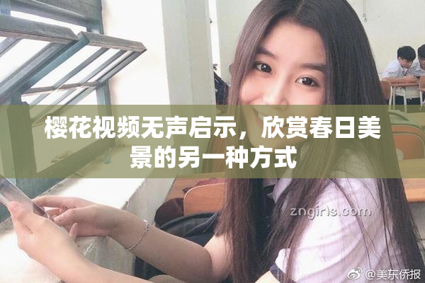 樱花视频无声启示，欣赏春日美景的另一种方式