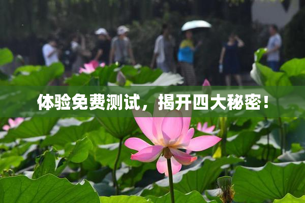体验免费测试，揭开四大秘密！
