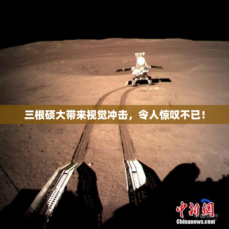 三根硕大带来视觉冲击，令人惊叹不已！