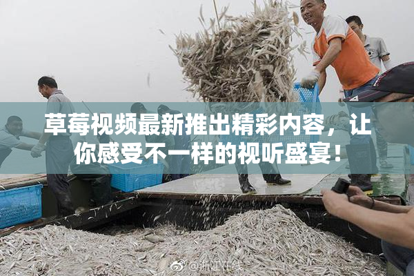 草莓视频最新推出精彩内容，让你感受不一样的视听盛宴！