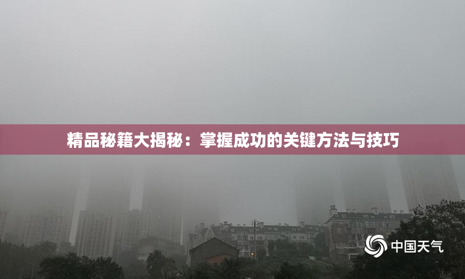 精品秘籍大揭秘：掌握成功的关键方法与技巧