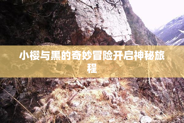 小樱与黑的奇妙冒险开启神秘旅程