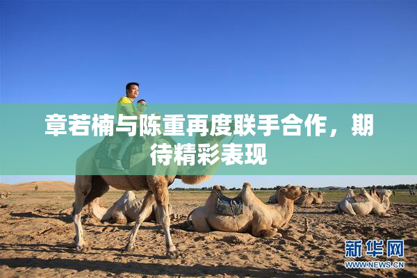 章若楠与陈重再度联手合作，期待精彩表现