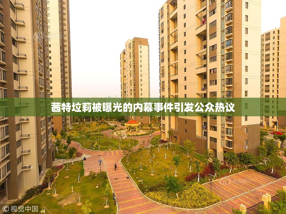 茜特垃莉被曝光的内幕事件引发公众热议
