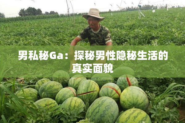 男私秘Ga：探秘男性隐秘生活的真实面貌