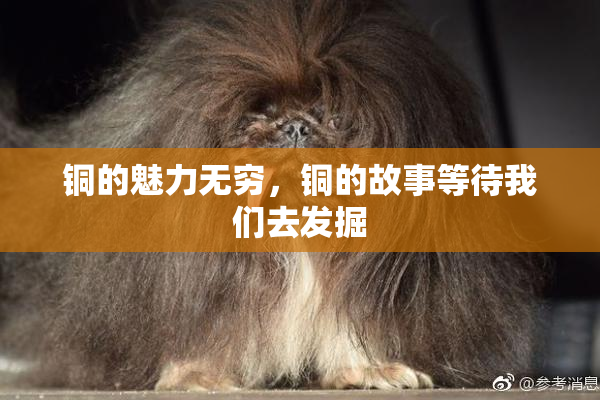 铜的魅力无穷，铜的故事等待我们去发掘