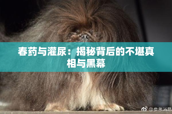 春药与灌尿：揭秘背后的不堪真相与黑幕