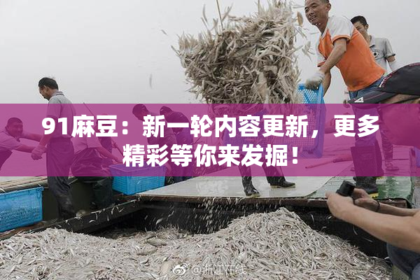 91麻豆：新一轮内容更新，更多精彩等你来发掘！