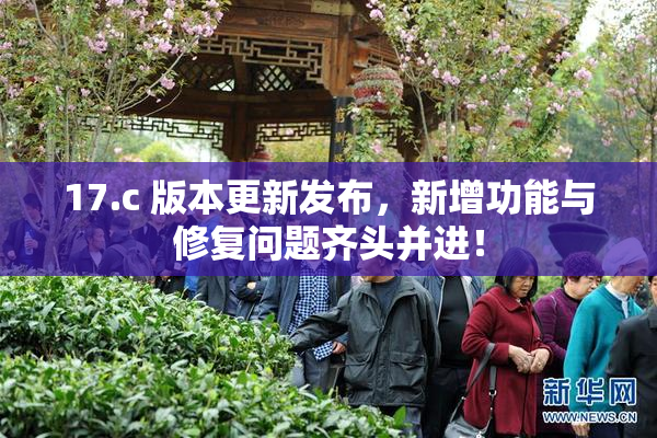 17.c 版本更新发布，新增功能与修复问题齐头并进！