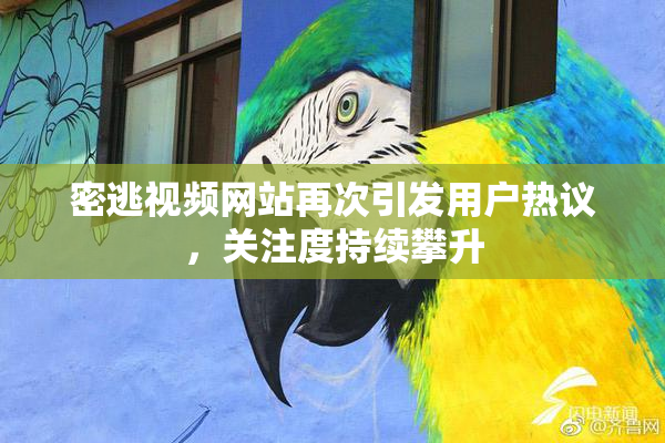 密逃视频网站再次引发用户热议，关注度持续攀升