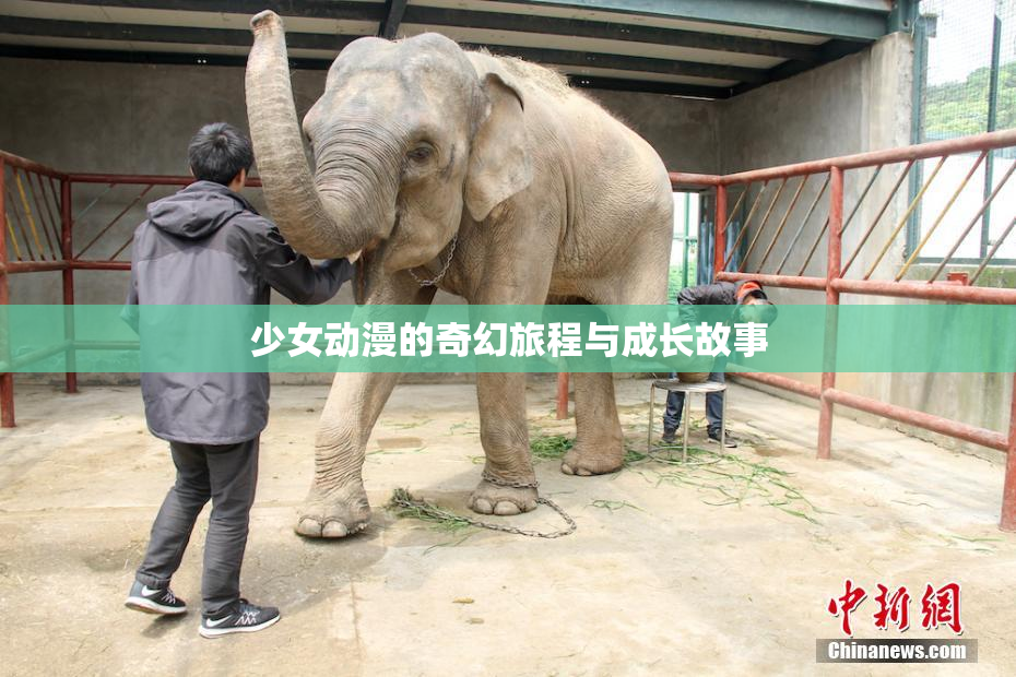 少女动漫的奇幻旅程与成长故事