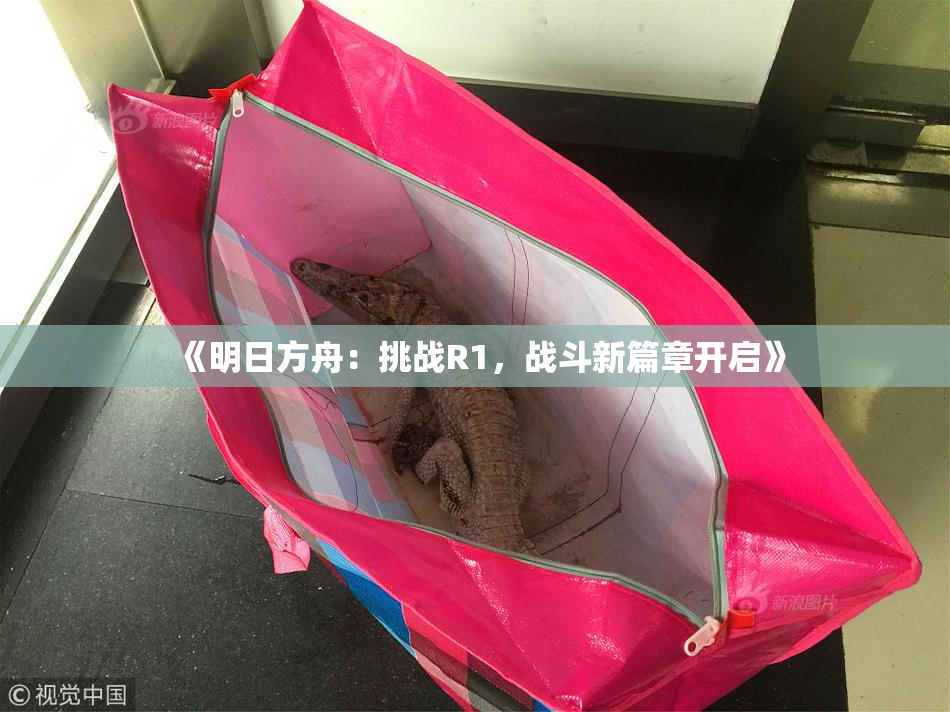 《明日方舟：挑战R1，战斗新篇章开启》