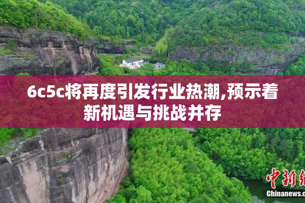 6c5c将再度引发行业热潮,预示着新机遇与挑战并存