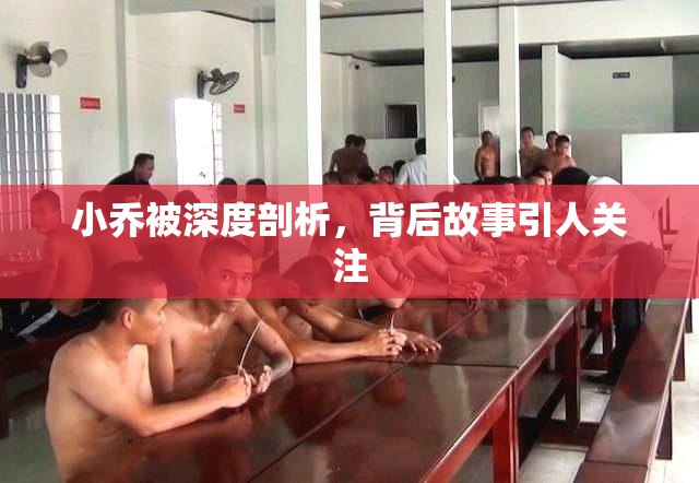 小乔被深度剖析，背后故事引人关注