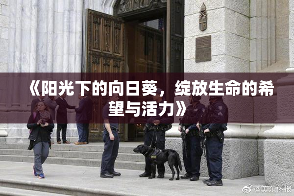 《阳光下的向日葵，绽放生命的希望与活力》