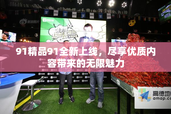 91精品91全新上线，尽享优质内容带来的无限魅力