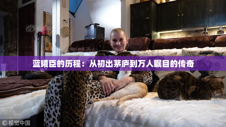 蓝曦臣的历程：从初出茅庐到万人瞩目的传奇