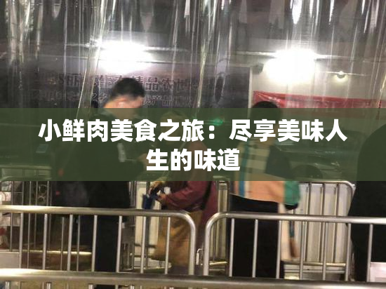 小鲜肉美食之旅：尽享美味人生的味道
