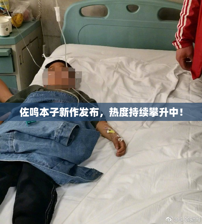 佐鸣本子新作发布，热度持续攀升中！