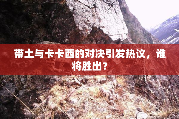 带土与卡卡西的对决引发热议，谁将胜出？