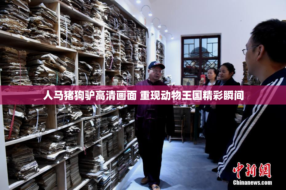 人马猪狗驴高清画面 重现动物王国精彩瞬间