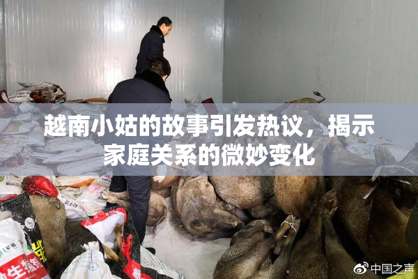 越南小姑的故事引发热议，揭示家庭关系的微妙变化