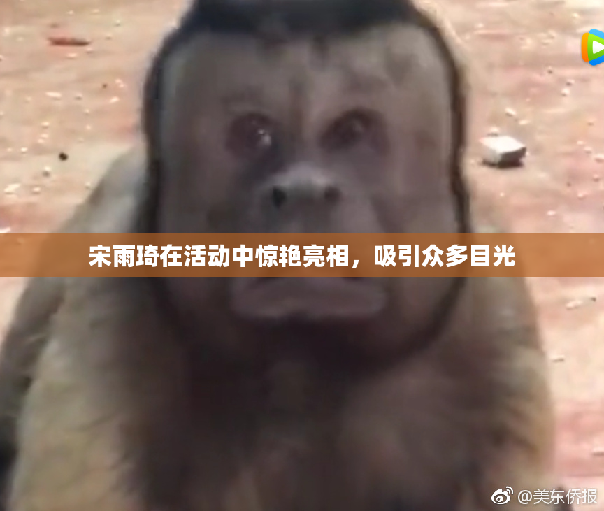 宋雨琦在活动中惊艳亮相，吸引众多目光