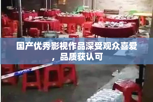 国产优秀影视作品深受观众喜爱，品质获认可