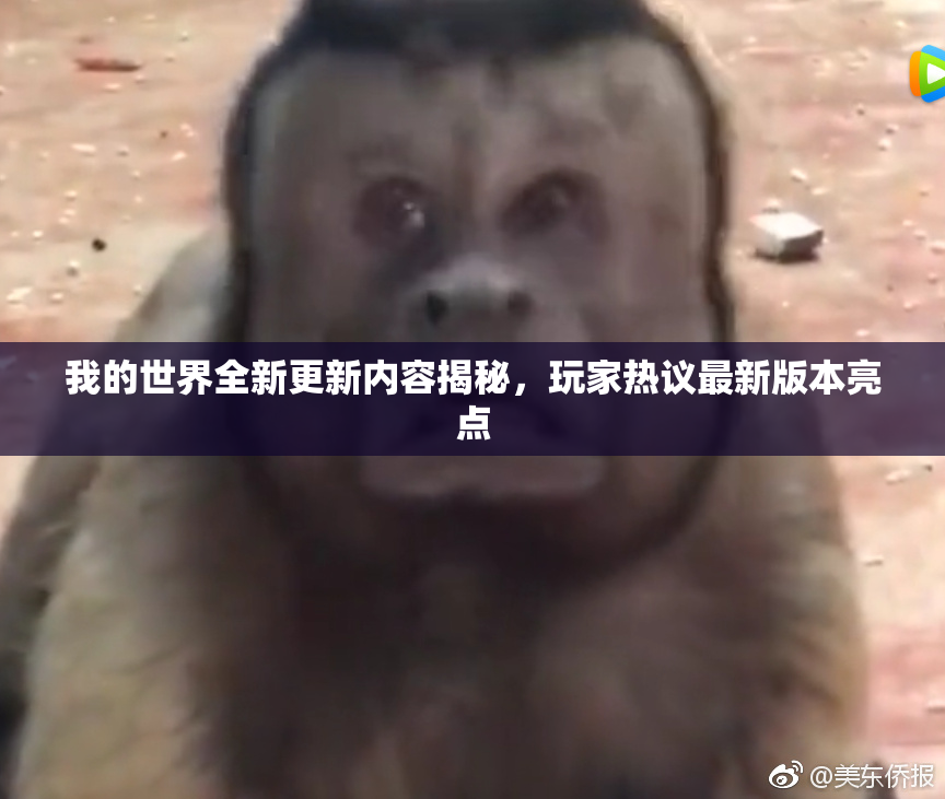我的世界全新更新内容揭秘，玩家热议最新版本亮点