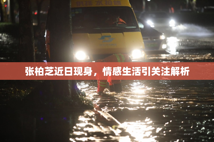 张柏芝近日现身，情感生活引关注解析