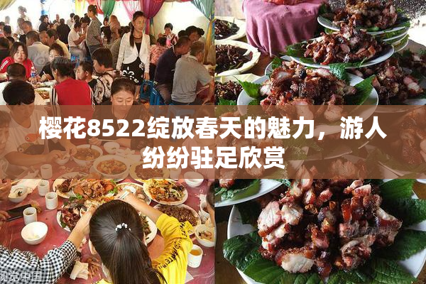 樱花8522绽放春天的魅力，游人纷纷驻足欣赏