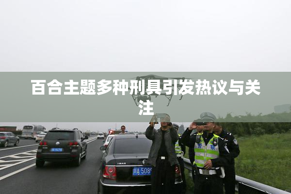 百合主题多种刑具引发热议与关注