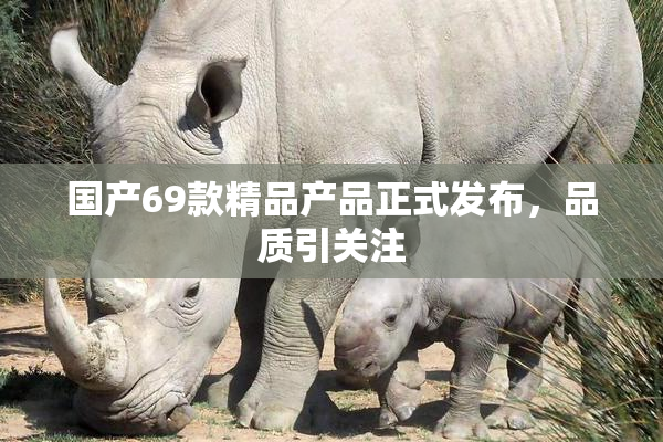 国产69款精品产品正式发布，品质引关注