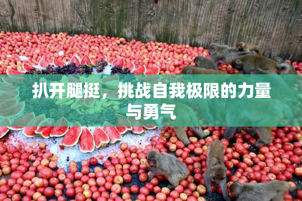 扒开腿挺，挑战自我极限的力量与勇气