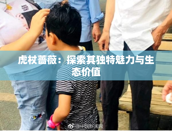 虎杖蔷薇：探索其独特魅力与生态价值