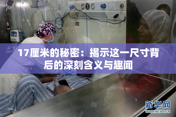 17厘米的秘密：揭示这一尺寸背后的深刻含义与趣闻