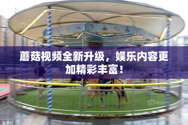 蘑菇视频全新升级，娱乐内容更加精彩丰富！