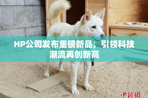 HP公司发布重磅新品，引领科技潮流再创新高