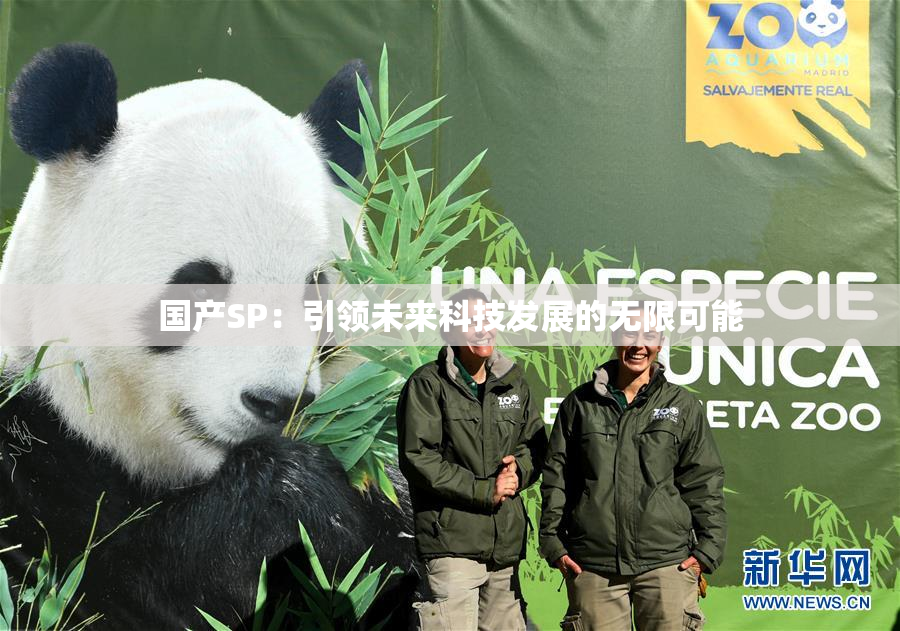 国产SP：引领未来科技发展的无限可能