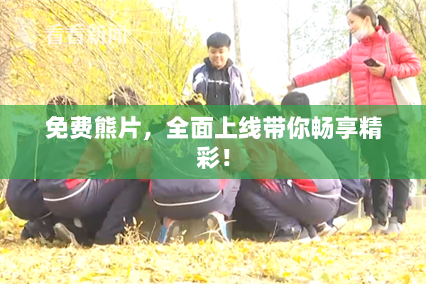 免费熊片，全面上线带你畅享精彩！