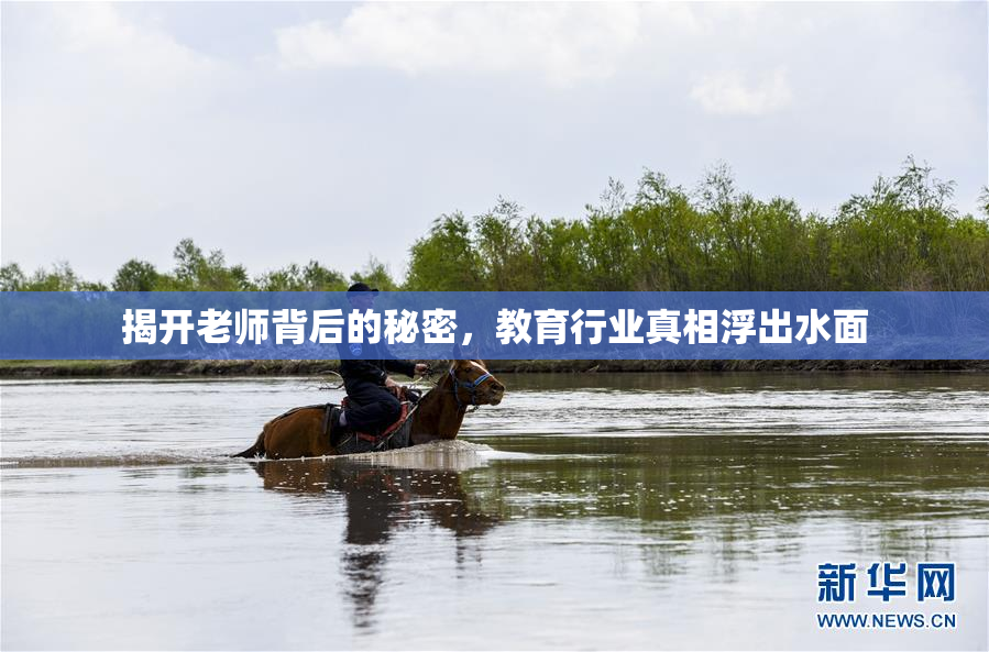揭开老师背后的秘密，教育行业真相浮出水面